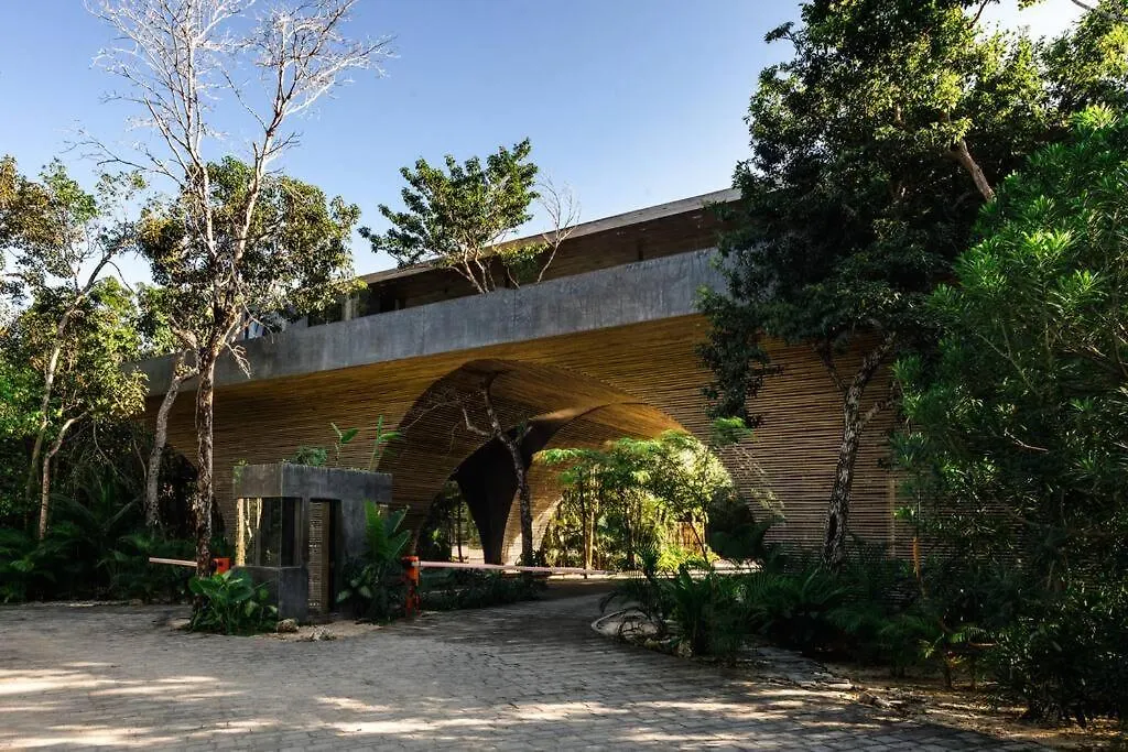 Kataleya Tulum By Zaazil - Amazing Penthouse Plus Aptartment , Up To 16 People, Private Pool, Terrace , Roof Top And Hot Tub In Luum Zama In The Jungle 0*,  멕시코